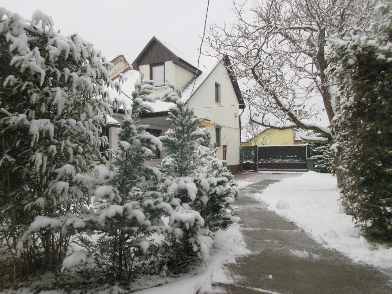 Sissi Residence With Free Parking Lot Budapest Luaran gambar